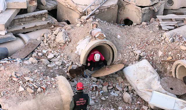 Enkaz alanı, arama- kurtarma köpeklerinin eğitim merkezi oldu