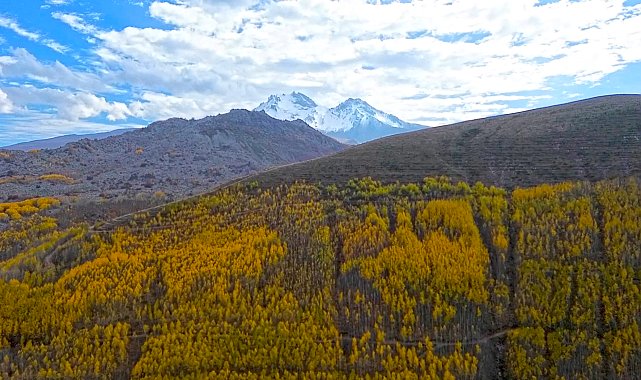 Erciyes'in eteklerindeki 'Ortaseki Ormanı'nda renk cümbüşü