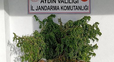 Evinde 3 kilo esrar ile yakalandı
