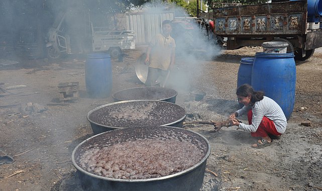 Gaziantep'te pekmez mesaisi