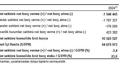 Genel devlet açığının GSYH'ye oranı yüzde 0,9 oldu