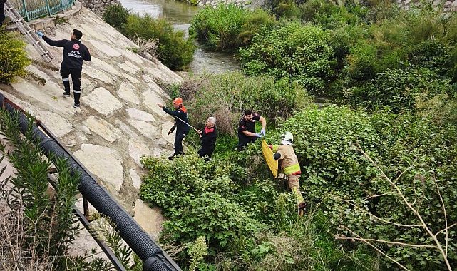 Hatay'da otomobil dereye uçtu; 3 yaralı