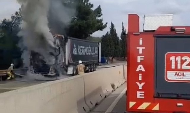 Hatay'da seyir halindeyken alev alan TIR yandı