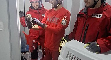 Havalandırma boşluğunda mahsur kalan baykuşu, AKUT kurtardı