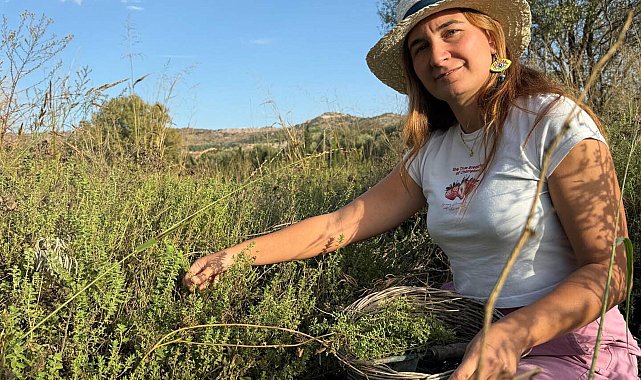 İstanbul'daki 10 yıllık turizm kariyerini bıraktı, Bodrum'da çiftlik kurdu