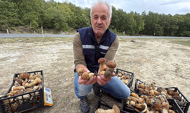Istranca Ormanları'nda mantar bereketi