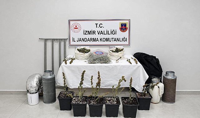 İzmir'de 5 kilo skunk ele geçirildi