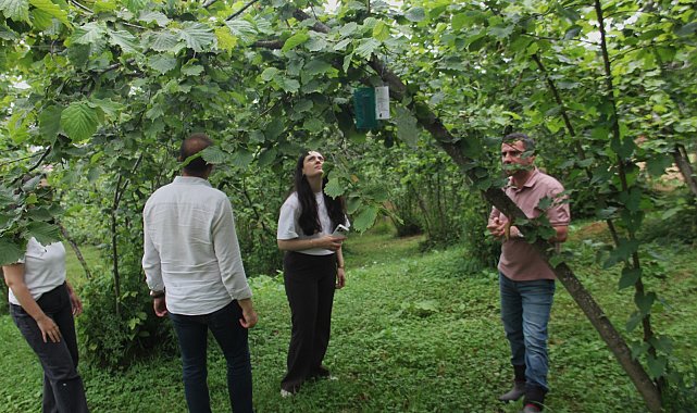 Karadeniz'de istilacı böcek kabusuna 'siber' kalkan