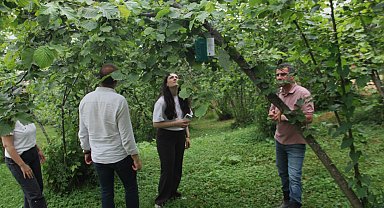 Karadeniz'de istilacı böcek kabusuna 'siber' kalkan