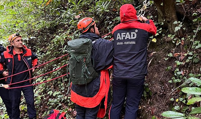 Kestane toplamak için gittiği ormanda ölü bulundu