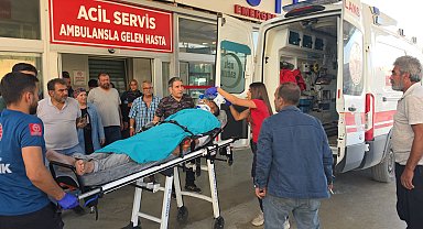 Kestiği ağacın altında kalan emekli uzman çavuş ağır yaralandı