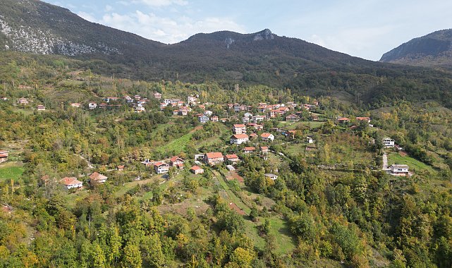 Küre Dağları Milli Parkı'nda sonbahar renkleri