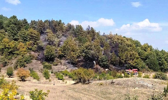 Kütahya'da ormana sıçrayan yangın söndürüldü