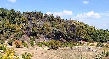 Kütahya'da ormana sıçrayan yangın söndürüldü