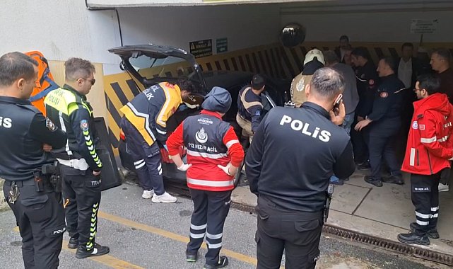 Maltepe'de otopark girişindeki duvara çarpan otomobilin sürücüsü ve köpeği yaralandı