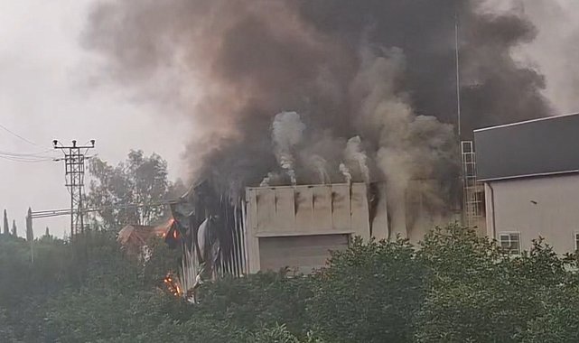 Mersin'de tütün işleme tesisinde yangın