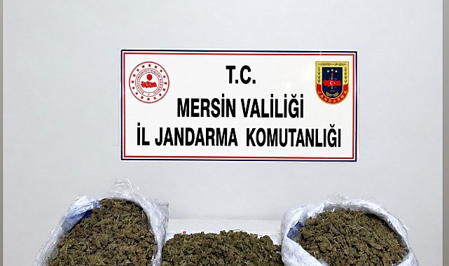 Mersin'de uyuşturucu operasyonları; 2 tutuklama