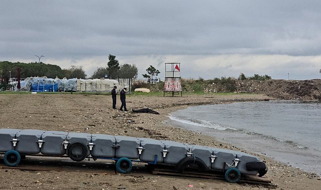 Mudanya'da sahilde erkek cesedi bulundu