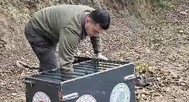 Otomobilin çarptığı karaca, tedavisi sonrası doğaya bırakıldı