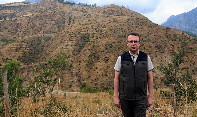 Şakalaşma sırasında atılan torpille yanan alan, 27 bin fidanla yeniden ağaçlandırıldı
