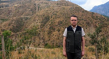 Şakalaşma sırasında atılan torpille yanan alan, 27 bin fidanla yeniden ağaçlandırıldı