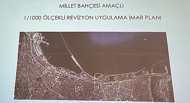 Samsunspor'un tesisleri oy birliği ile Millet Bahçesi planının dışında tutuldu