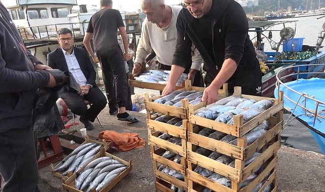 Şile'de palamut bolluğu; kasası 600 liradan satıldı