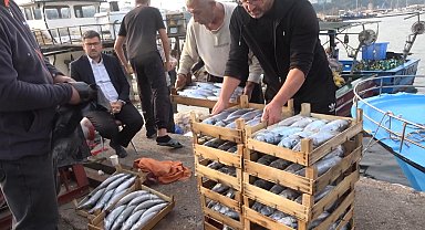 Şile'de palamut bolluğu; kasası 600 liradan satıldı