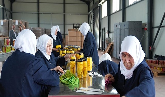 Tarlada kalan meyve ve sebzeler, kadınların elinde yeni nesil turşuya dönüşüyor