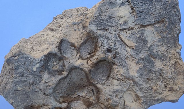 Tavşanlı Höyük'te 4 bin yıllık pati izi bulundu