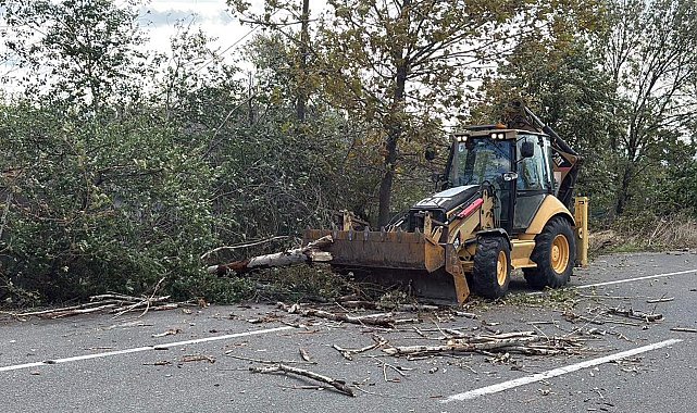 Tekirdağ'da fırtına; ağaç ve telefon direği devrildi