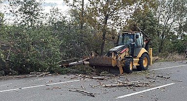 Tekirdağ'da fırtına; ağaç ve telefon direği devrildi
