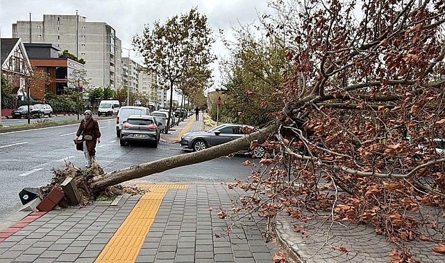 Tekirdağ'da fırtına; eğitim uçuşları iptal edildi, balıkçılar denize açılamadı