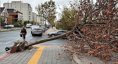 Tekirdağ'da fırtına; eğitim uçuşları iptal edildi, balıkçılar denize açılamadı