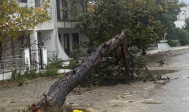 Tekirdağ'da fırtına; eğitim uçuşları iptal edildi, balıkçılar denize açılamadı