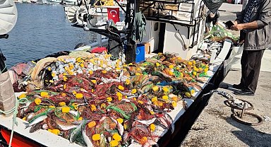 Tekirdağ'da tekneyle denize açılan balıkçılar, 1,5 ton kefal avladı