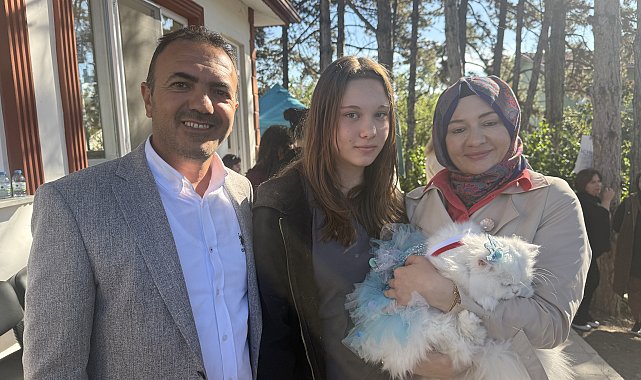 Tokat'ta kediler güzellik yarışmasında podyuma çıktı
