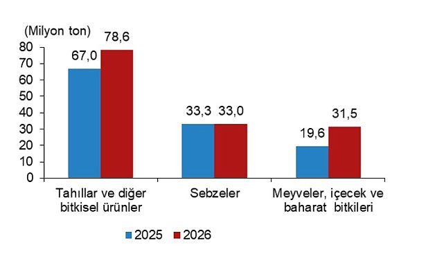 TÜİK: Tahıl, meyve, baharat üretiminde artış, sebze üretiminde azalış öngörüldü