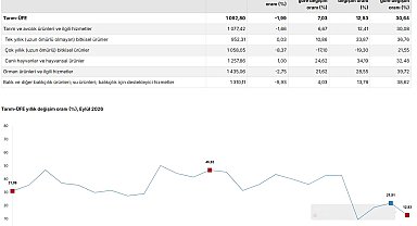 TÜİK: Tarım ürünleri üretici fiyatları aylık yüzde 1,99 azaldı