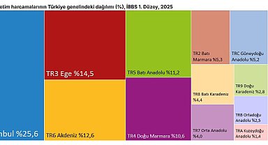 TÜİK: Tüketim harcamalarının 4'te 1'i İstanbul'da gerçekleşti