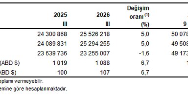 TÜİK: Turizm geliri yüzde 5 arttı