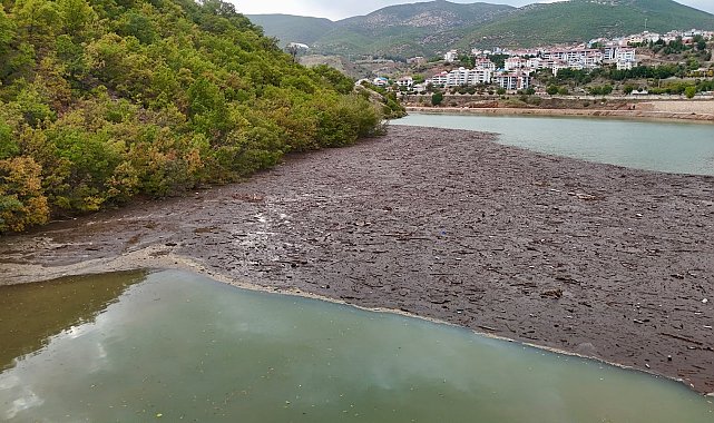 Tunceli'de suların taşıdığı atıklar, baraj gölü kıyısında birikti