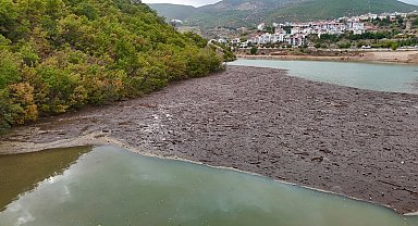 Tunceli'de suların taşıdığı atıklar, baraj gölü kıyısında birikti