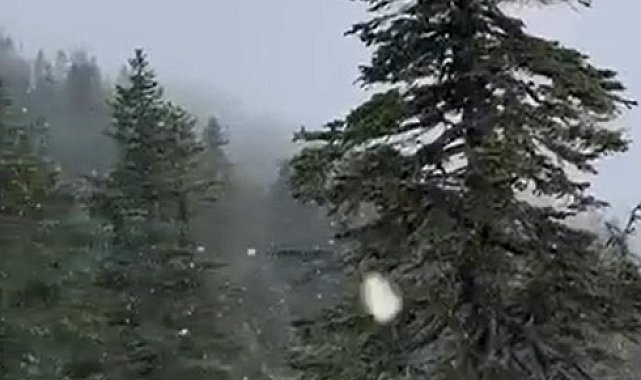 Uludağ'a kar yağdı