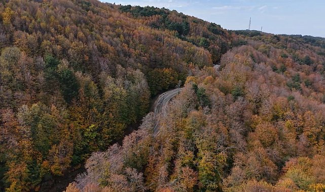 Uludağ'da sonbahar manzarası