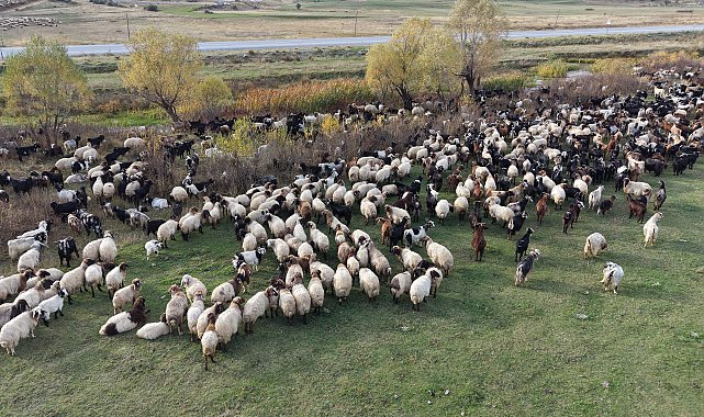 Van ve Bitlis'te göçerlerin dönüş yolculuğu başladı