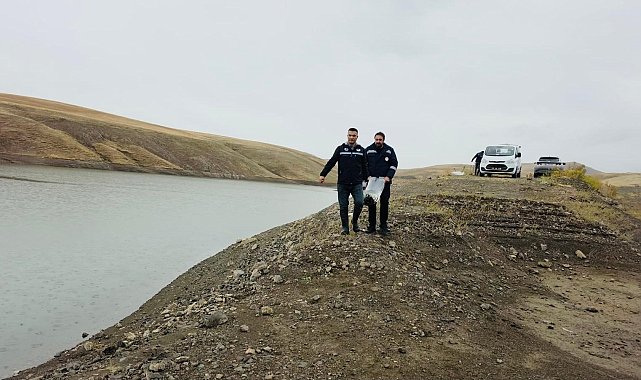 Van'da göletlere 700 bin sazan yavrusu bırakıldı