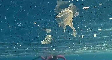 Yağışlar sonrası denizdeki plastik kirliliği kamerada