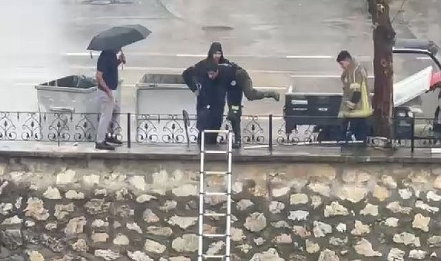 Yağmurda dereye sürüklenen yavru kediyi kurtarmak için zamanla yarıştılar