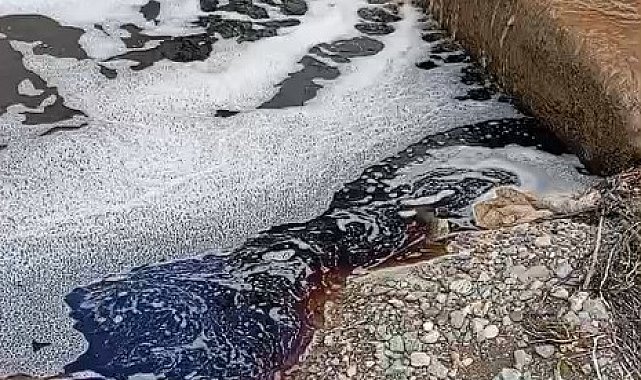 Yalova açıklarında deniz yüzeyi kırmızıya boyandı